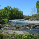 réserve naturelle de la dranse